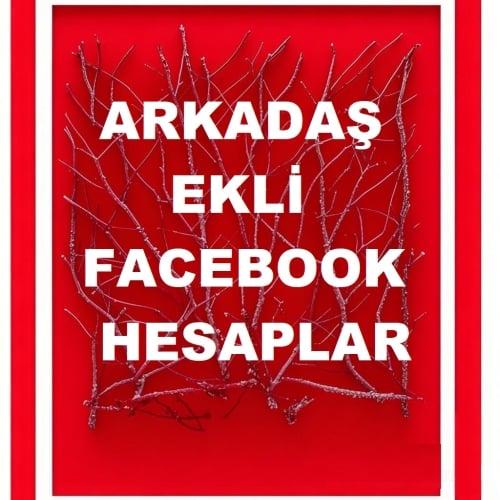  ARKADAŞLI EKLİ MAİL ERİŞİMLİ HESAPLAR